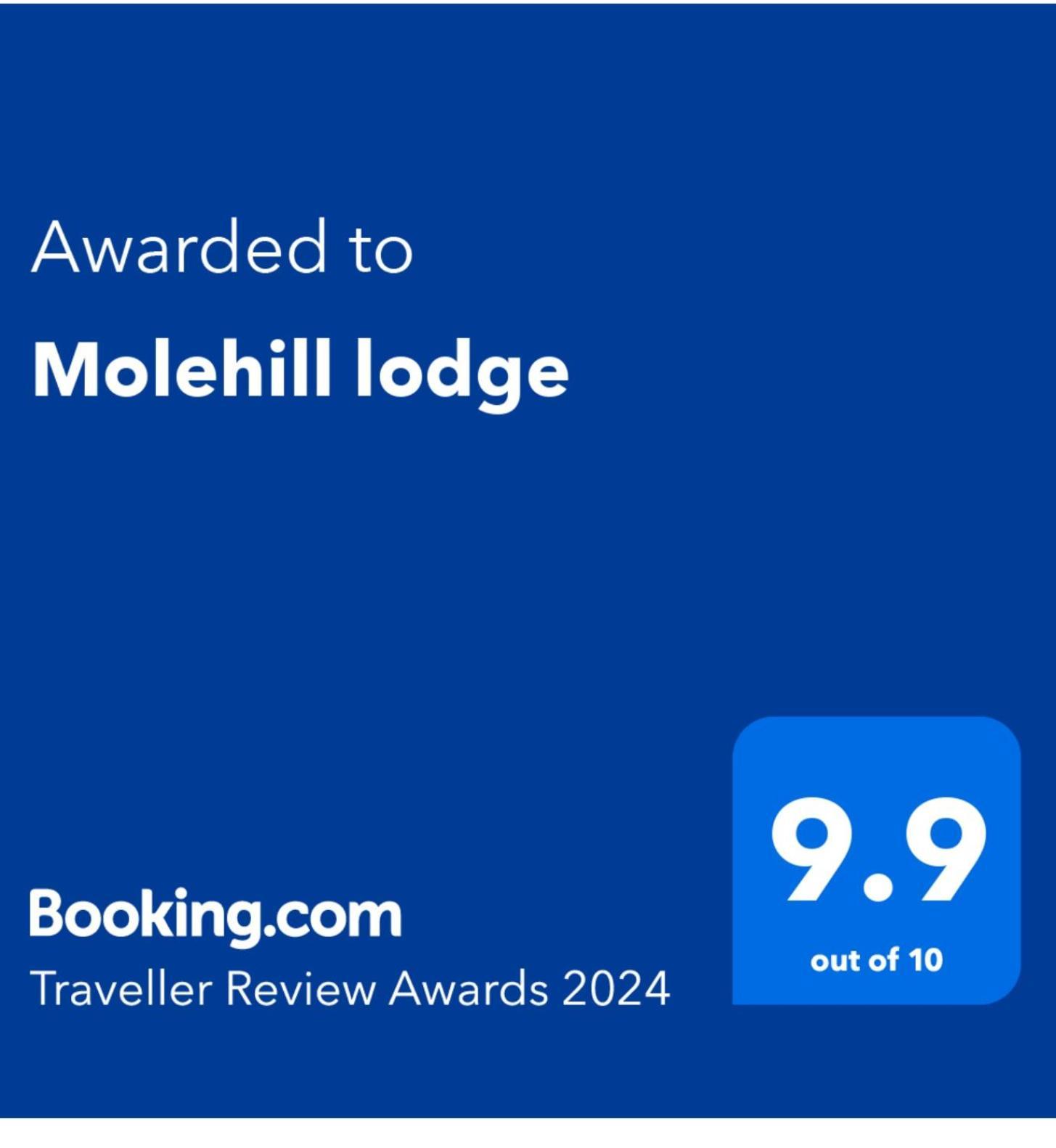 Molehill Lodge Swansea Exterior foto